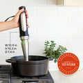 Braun immersion blender