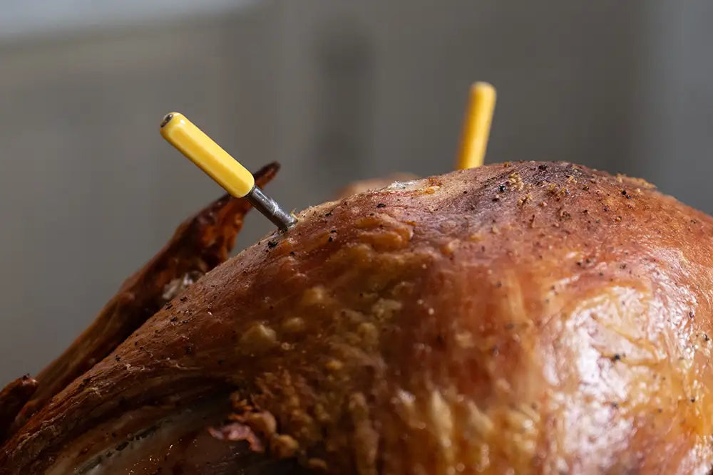 Kenji López-Alt uses his Combustion Inc. Predictive Thermometer to cook a turkey